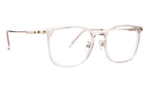 SA 70064 - F310
